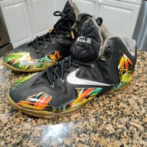 Lebron 11 everglades